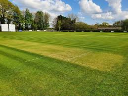Image result for Burbage Cricket Club