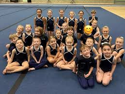 Image result for Hawth Gymnastics, Crawley