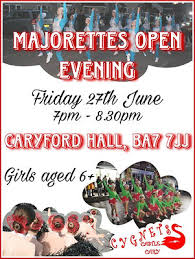 Image result for Castle Cary Cygnets Majorettes