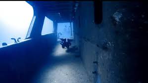 Image result for University Of East London Sub-Aqua Club