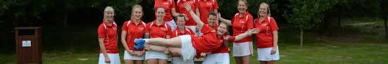 Image result for Angmering Stoolball Club