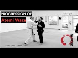 Image result for Goshin Ryu Atemi JuJitsu