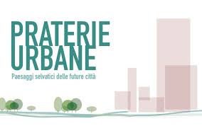 Image result for selvatici tehron