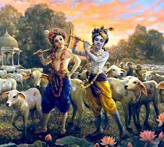 Image result for krishnamurals