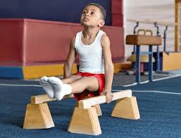 Image result for Mansfield Olympic Gymnastics Club