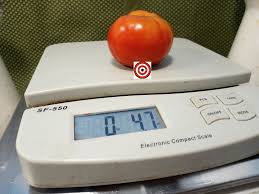 Afbeeldingsresultaat voor bloody butcher tomato