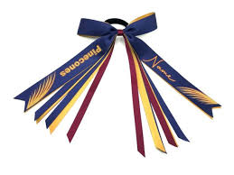 Image result for Genesis Netball Club