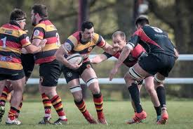 Image result for Harrogate Rugby Football Club