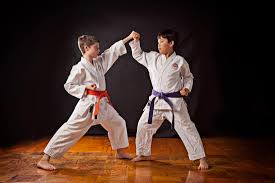 Image result for whitley karate club