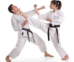 Image result for Goju.co.uk