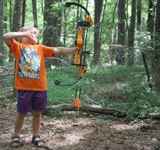 Image result for Lyme Valley Archers