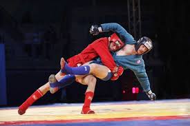 Image result for Combat Sambo