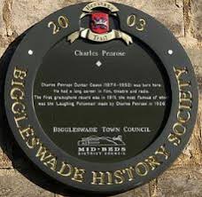 Image result for Biggleswade Sc