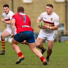 Image result for Huddersfield Sharks Rugby League Football Club