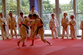 Image result for Levern Tora-Kai Karate Club
