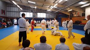 Image result for Basingstoke Aiuchi jiu Jitsu Club