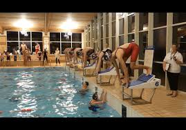 Image result for Stortford Divers