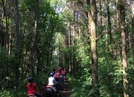 Image result for Patchett`s Green Riding Club