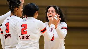 Image result for York University Volleyball Club