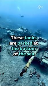 Image result for Eltham and District Sub Aqua Club