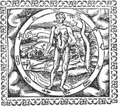 Image result for "Scyphus Nestoris"