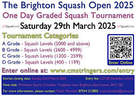 Image result for Addlestone Squash Leagues