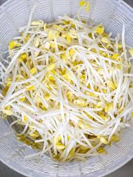 Image result for bean sprout