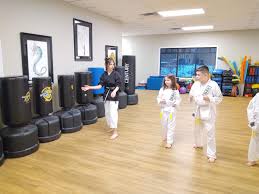 Image result for Hetton and Murton Karate Academy