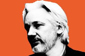 Image result for assange