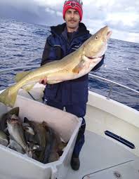 Image result for Bristol Channel Sea Fishing