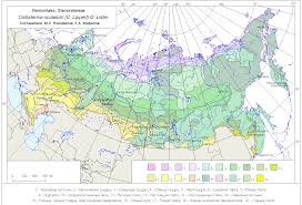 Attēlu rezultāti vaicājumam “Colloderma oculatum”