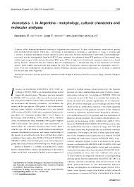 Attēlu rezultāti vaicājumam “Inonotus leporinus”