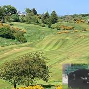 Image result for Beith Golf Club