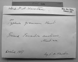 Attēlu rezultāti vaicājumam “Pistillaria sp.”