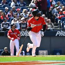 Image result for Schneemann