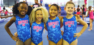 Image result for Phoenix Acro Gymnastics Club