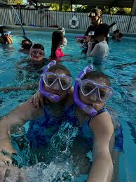 Image result for Belfairs Dolphins Snorkelling Club