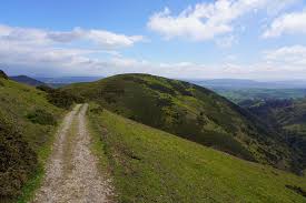 Image result for Long Mynd