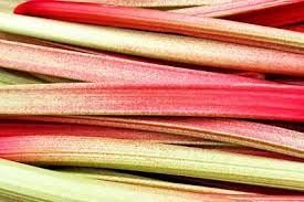 Attēlu rezultāti vaicājumam “Rheum rhabarbarum fruit”