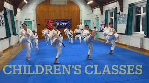 Image result for Windsor Karate Club