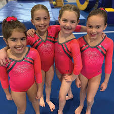 Image result for Focus Institute of Gymnastics