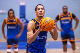 Image result for Worcester Wolves Basketball Club