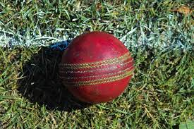Image result for Gilberdyke Cricket Club