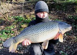 Image result for Bay Malton Angling Club