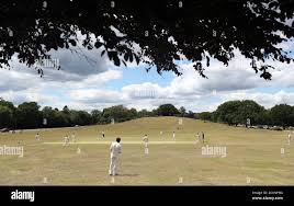 Image result for Ewhurst Cricket Club