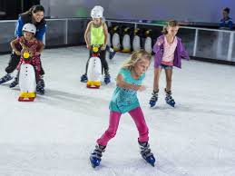 Image result for Milton Keynes Ice Skating Club