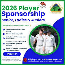 Image result for Aston Ingham Cricket Club