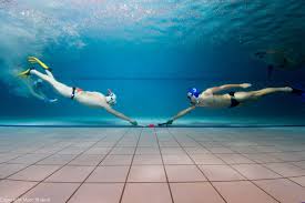 Image result for Sheffield Octopush Club