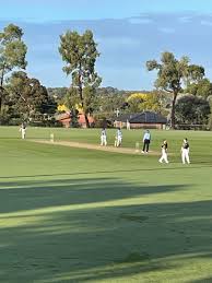 Image result for Malvern Cricket Club
