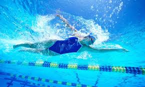 Image result for Glossop Swimming Club